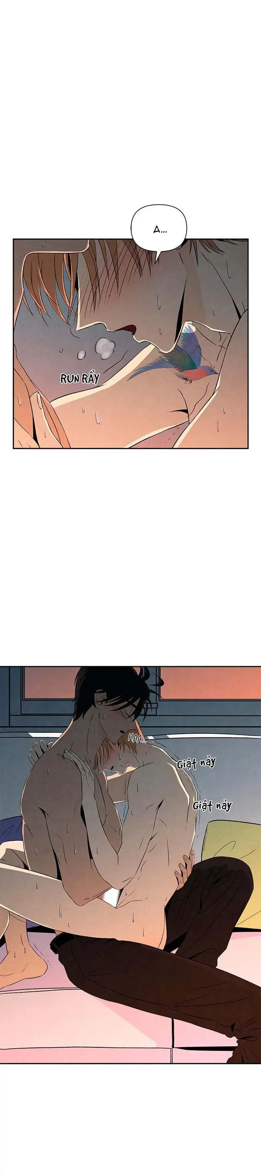 Bona Sort (END) Chapter 11 Trang 10