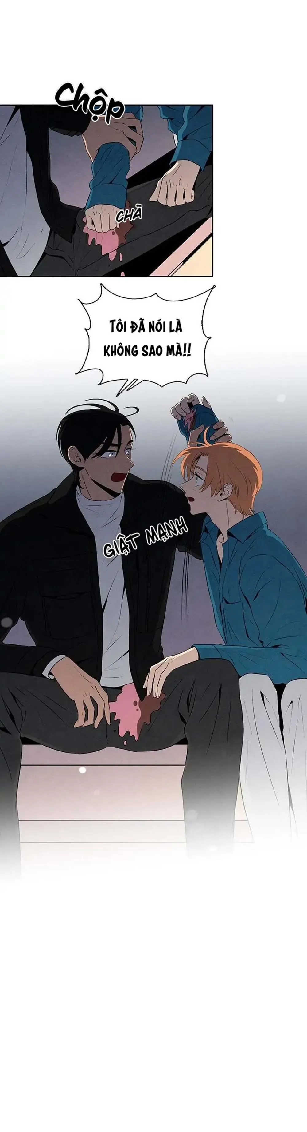 Bona Sort (END) Chapter 15 Trang 21