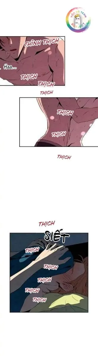 Bona Sort (END) Chapter 17 Trang 13