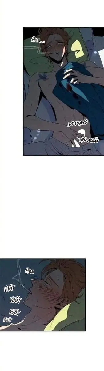 Bona Sort (END) Chapter 17 Trang 14