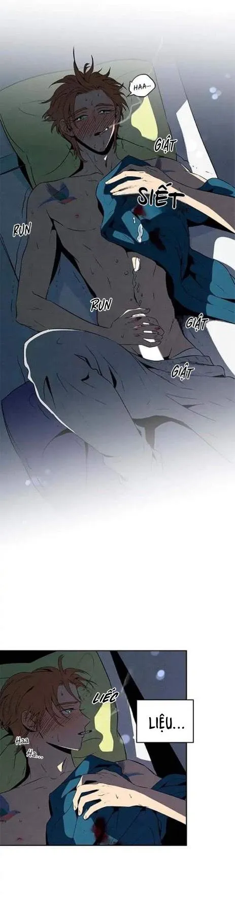 Bona Sort (END) Chapter 17 Trang 16