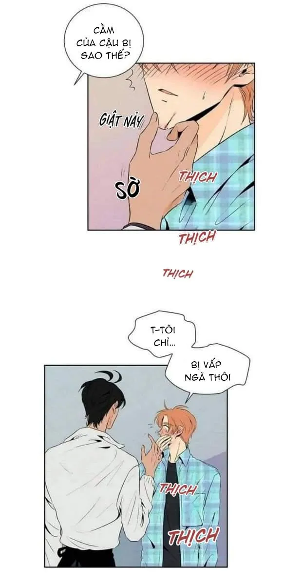 Bona Sort (END) Chapter 17 Trang 30