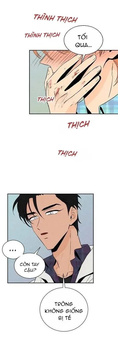 Bona Sort (END) Chapter 17 Trang 31