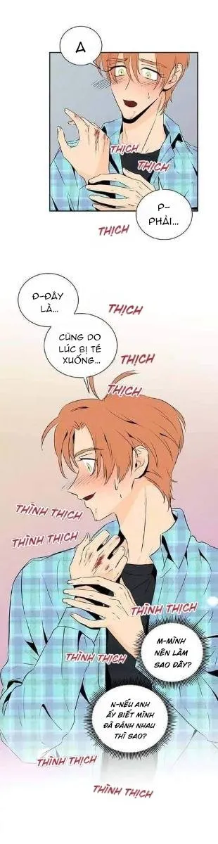 Bona Sort (END) Chapter 17 Trang 32