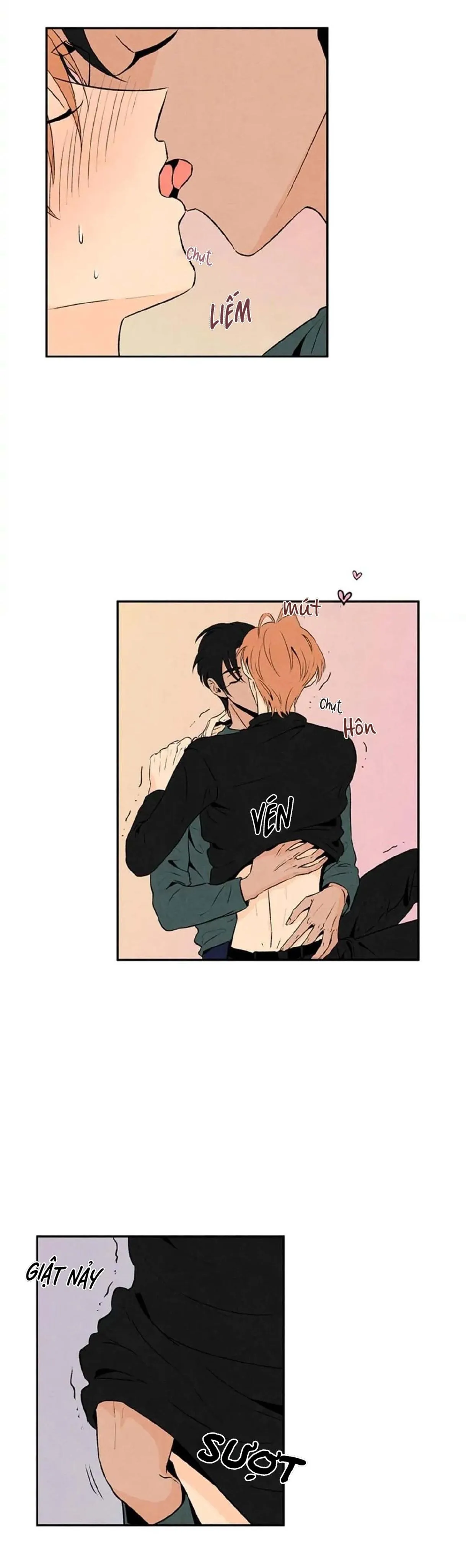 Bona Sort (END) Chapter 19 Trang 21