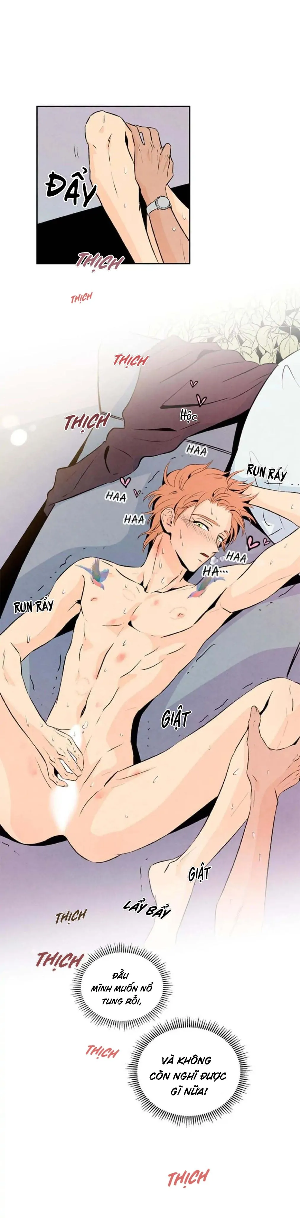 Bona Sort (END) Chapter 19 Trang 29