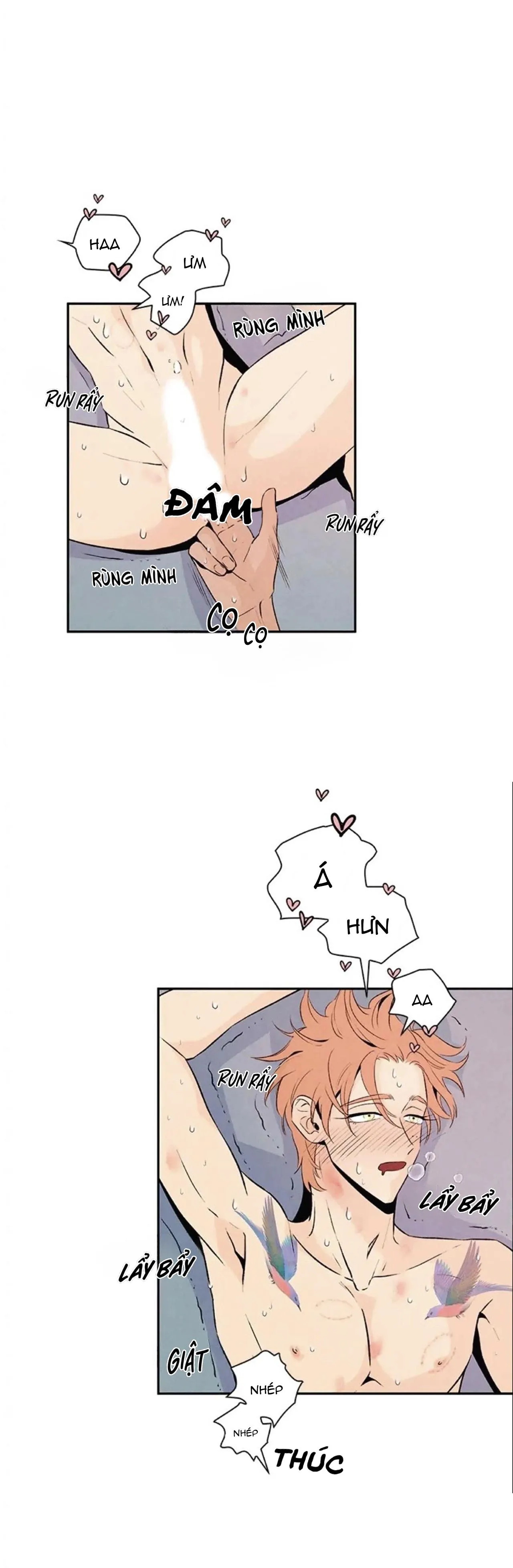 Bona Sort (END) Chapter 20 Trang 4