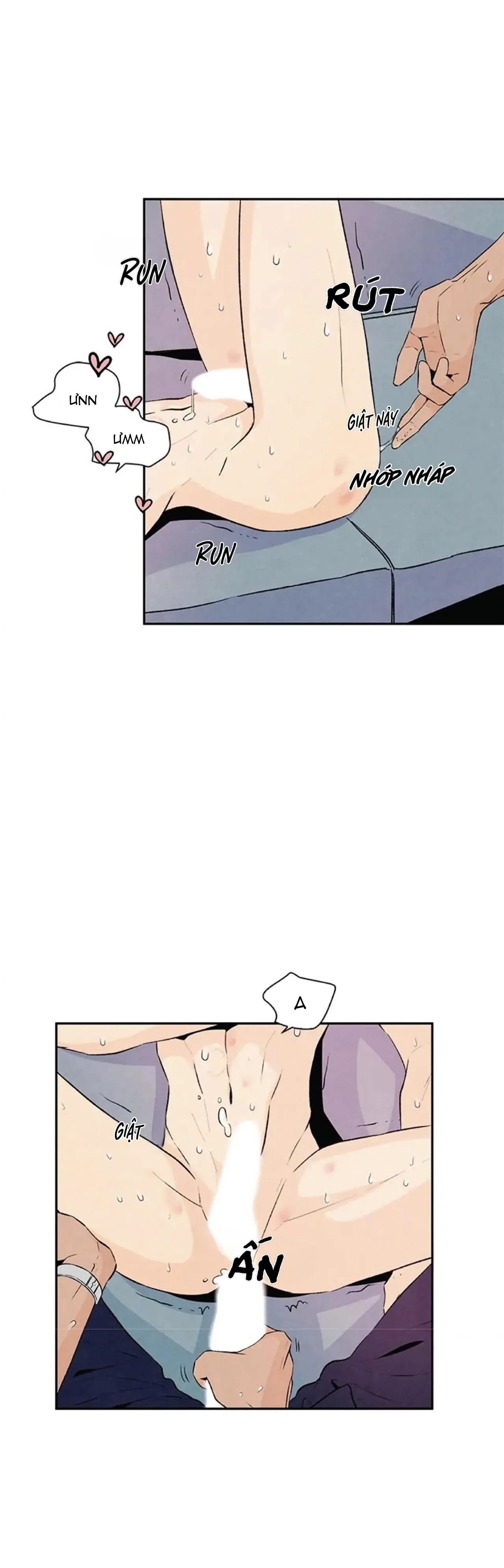 Bona Sort (END) Chapter 20 Trang 6