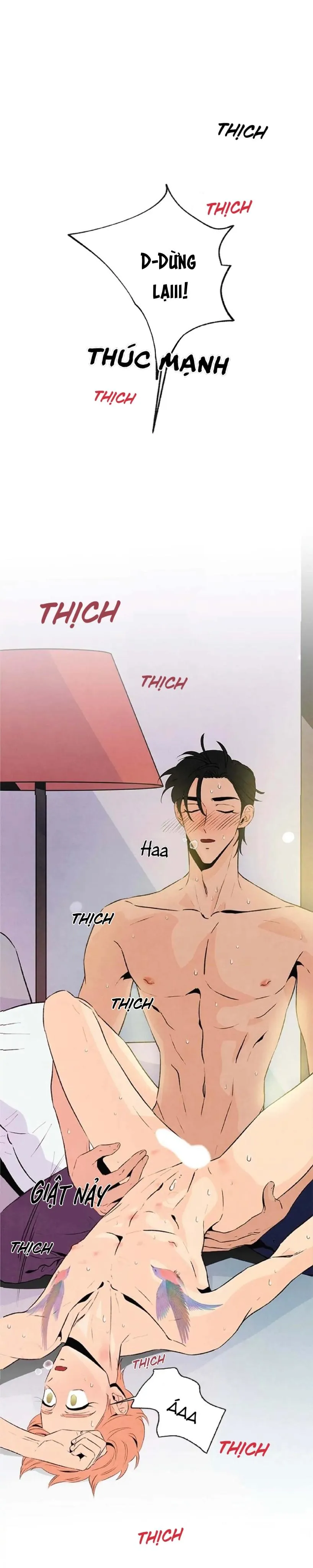 Bona Sort (END) Chapter 20 Trang 8