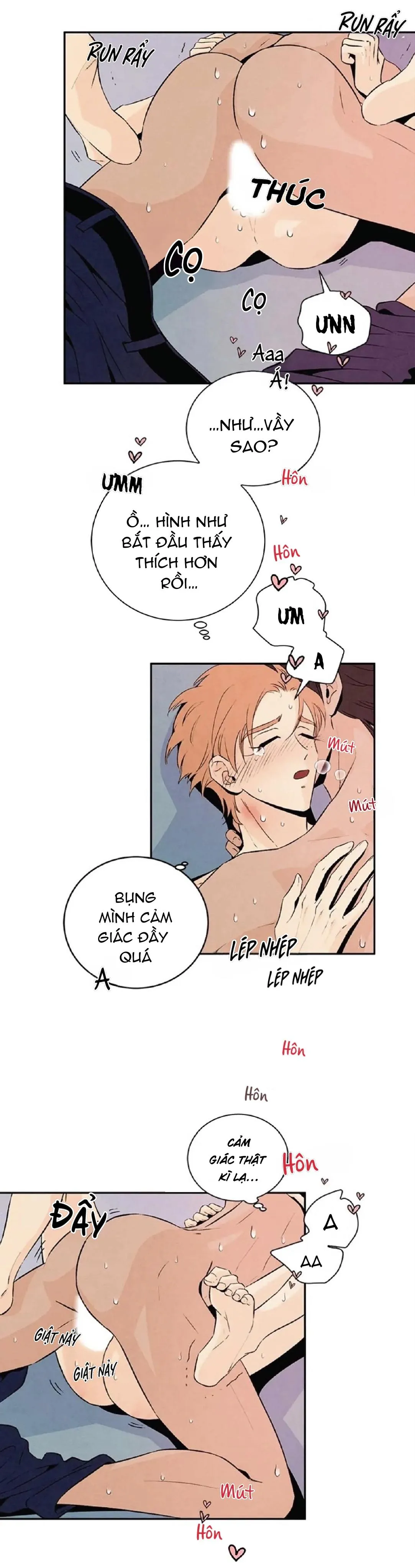 Bona Sort (END) Chapter 20 Trang 14