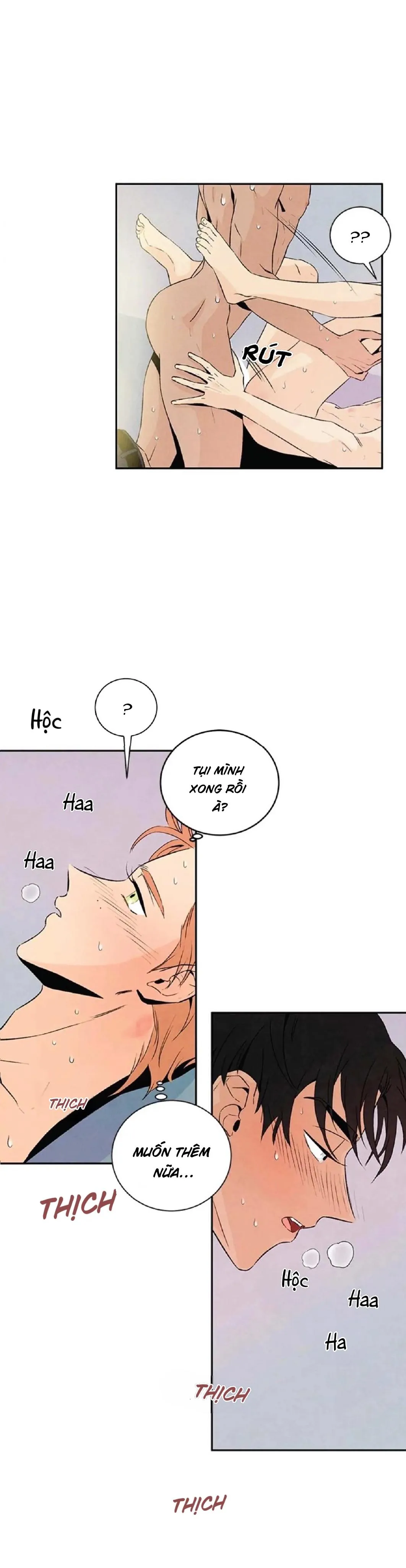 Bona Sort (END) Chapter 20 Trang 16