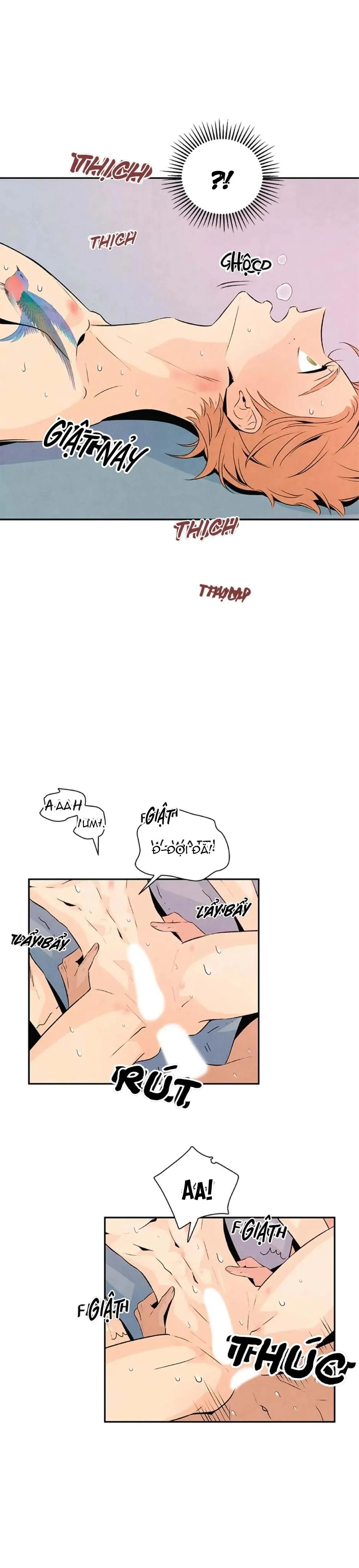 Bona Sort (END) Chapter 20 Trang 18