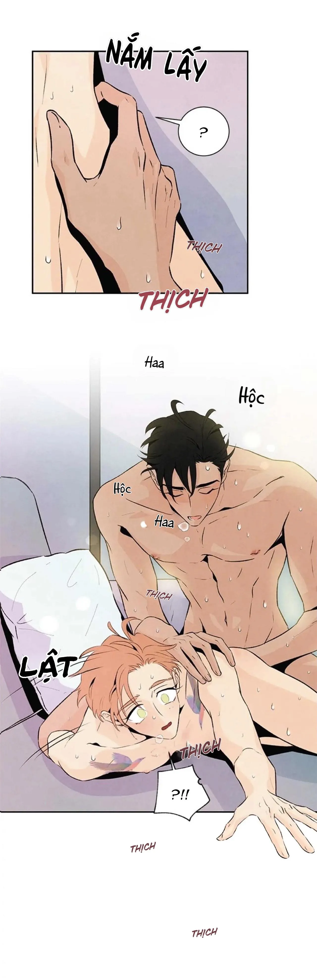 Bona Sort (END) Chapter 20 Trang 24