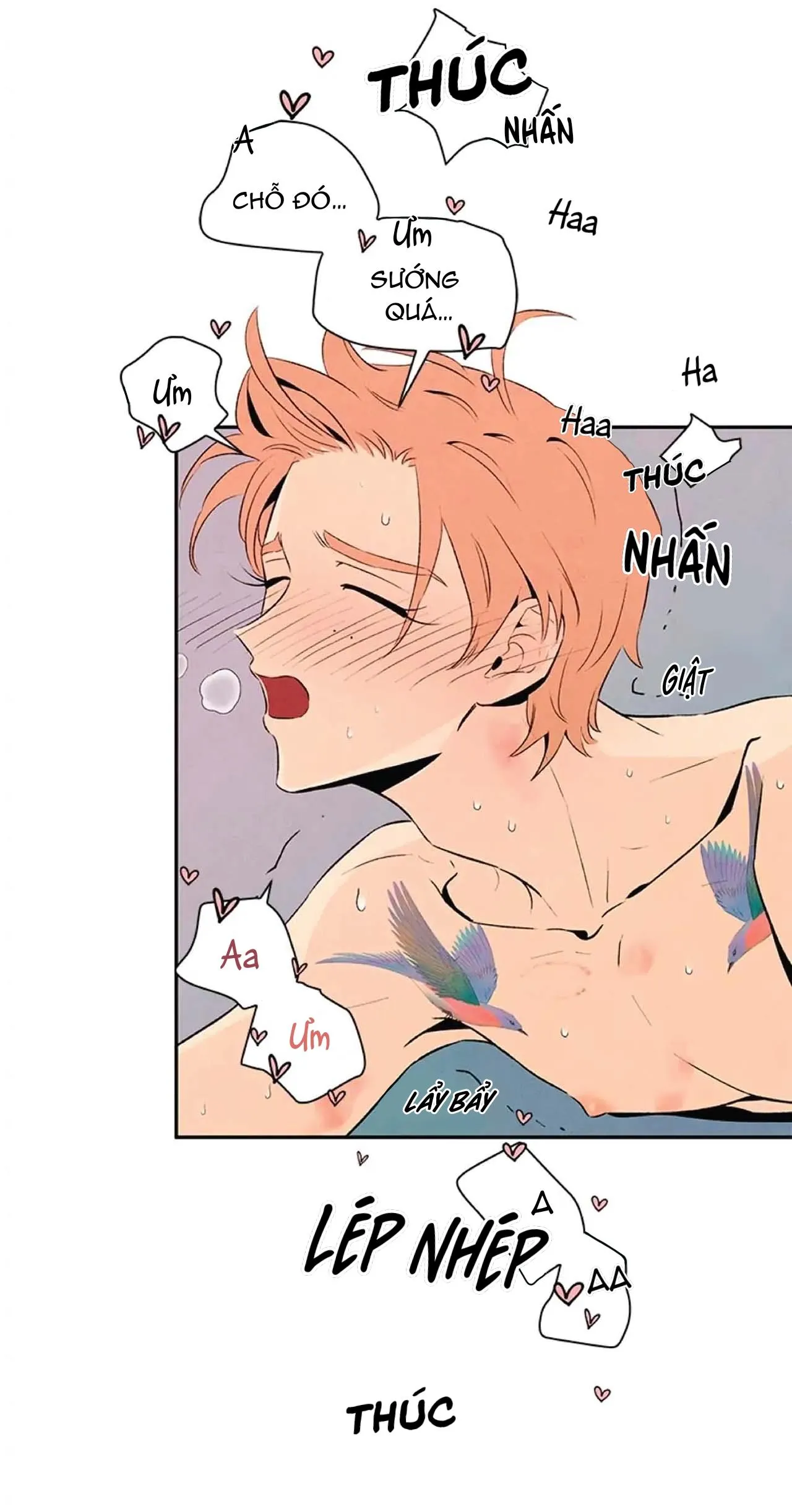 Bona Sort (END) Chapter 20 Trang 28