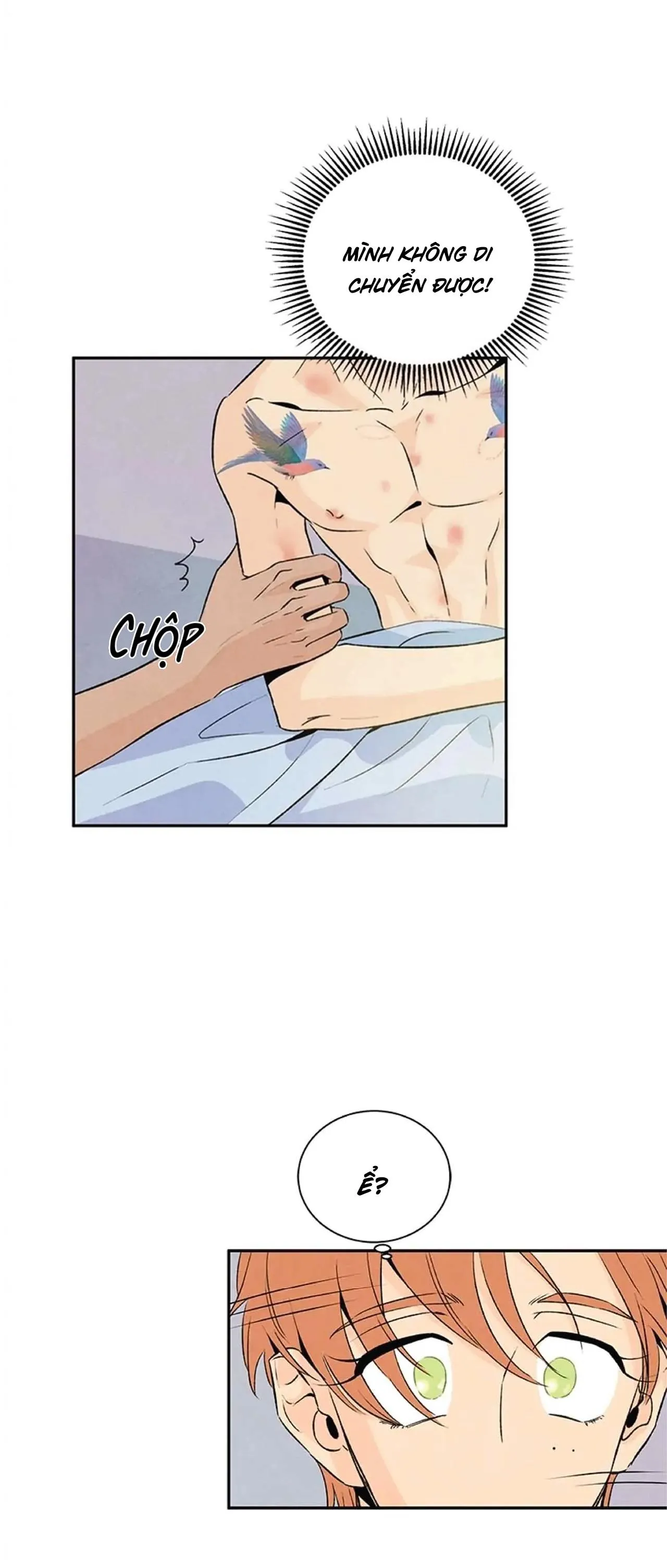 Bona Sort (END) Chapter 20 Trang 36