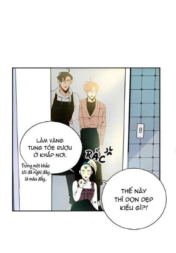 Bona Sort (END) Chapter 22 Trang 16
