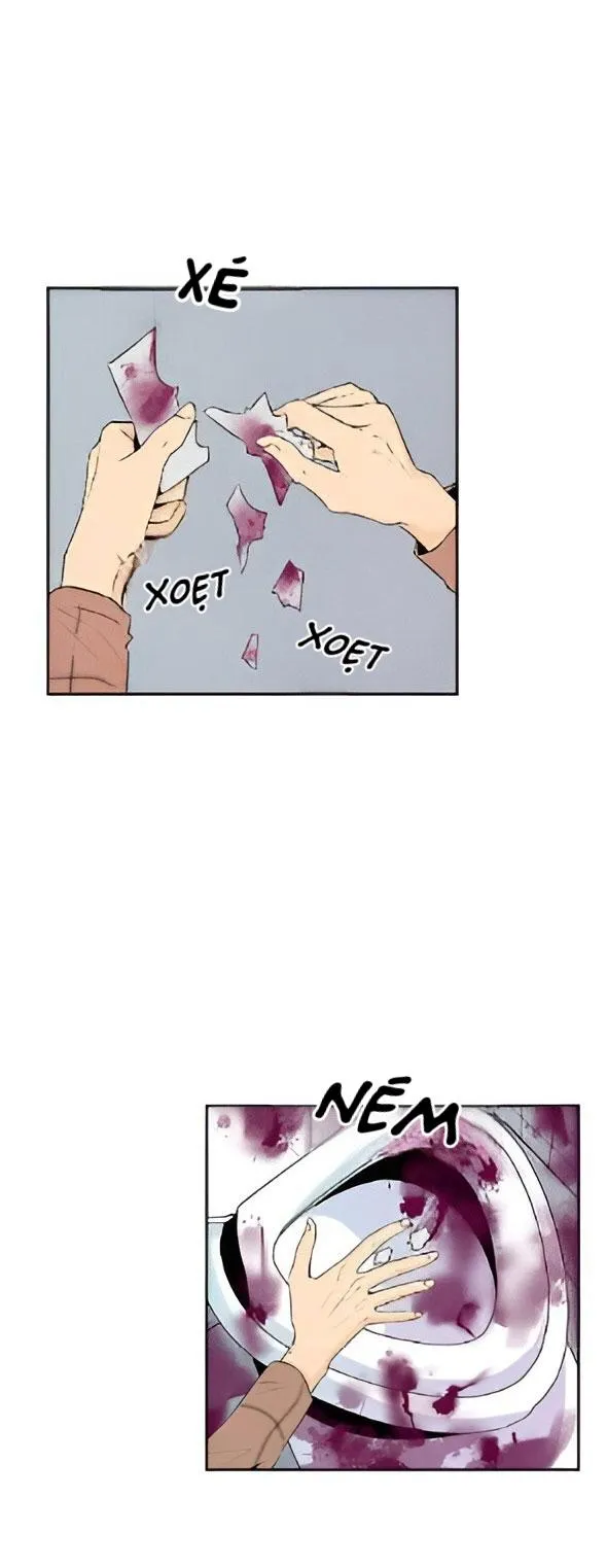 Bona Sort (END) Chapter 22 Trang 20