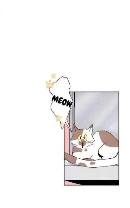 Bona Sort (END) Chapter 22 Trang 32