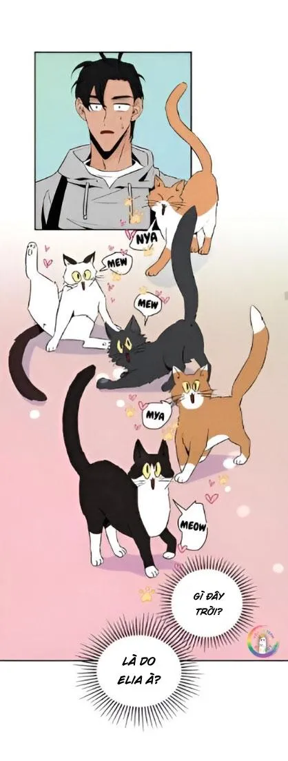 Bona Sort (END) Chapter 22 Trang 33