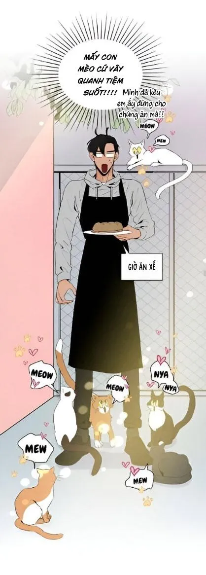 Bona Sort (END) Chapter 22 Trang 34