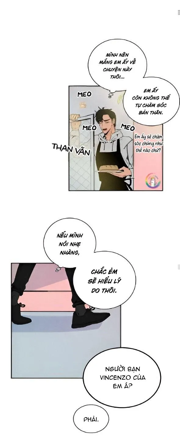 Bona Sort (END) Chapter 22 Trang 35