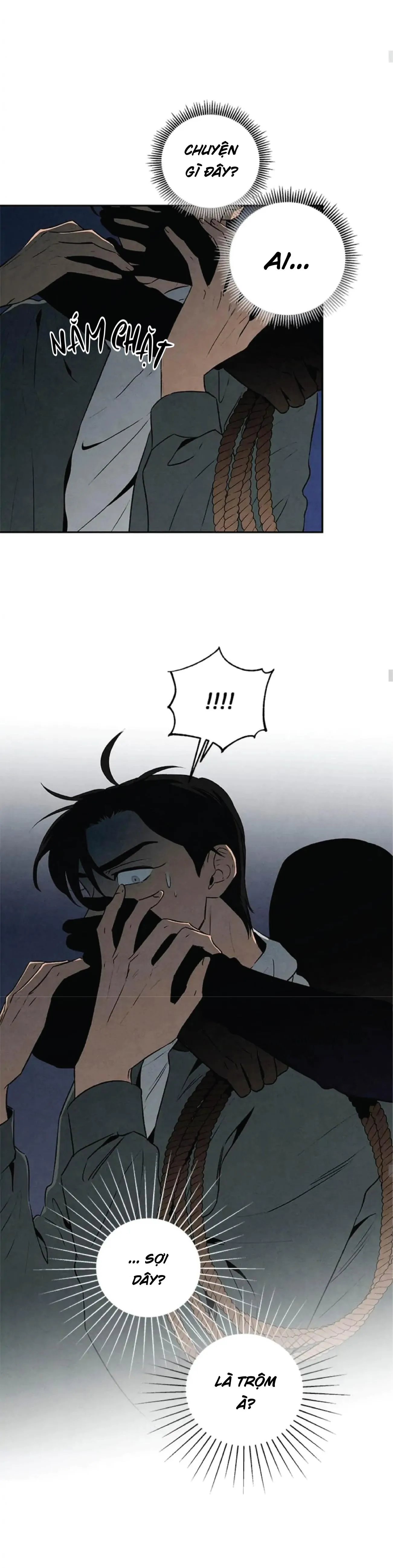 Bona Sort (END) Chapter 25 Trang 11