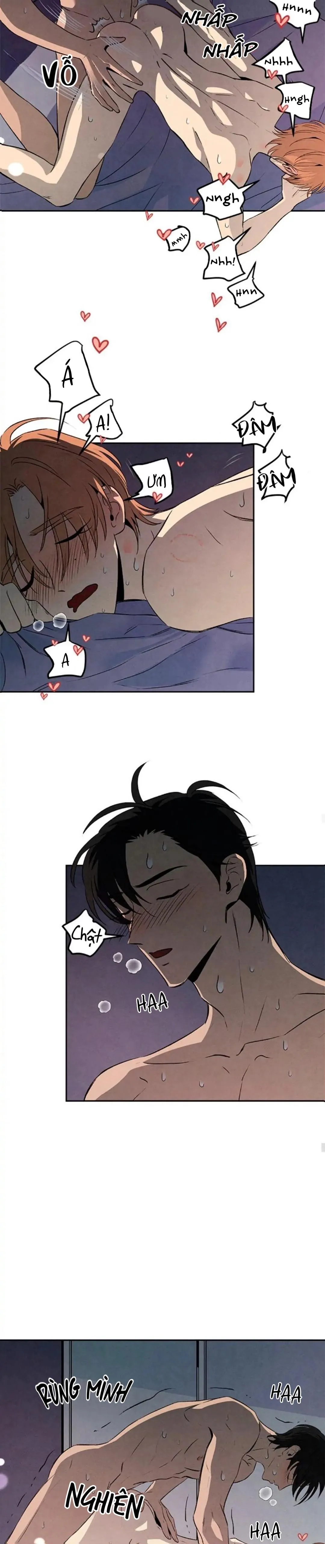 Bona Sort (END) Chapter 28 Trang 14