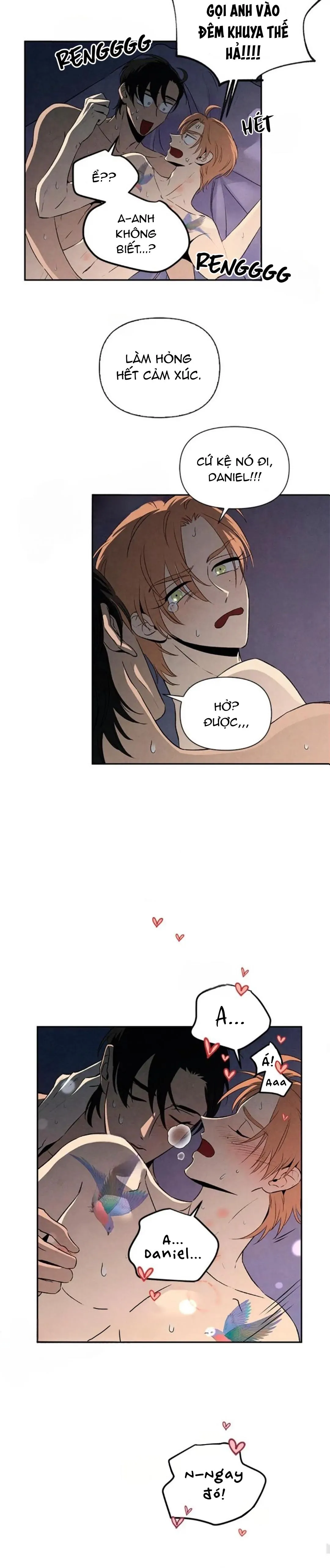 Bona Sort (END) Chapter 28 Trang 19