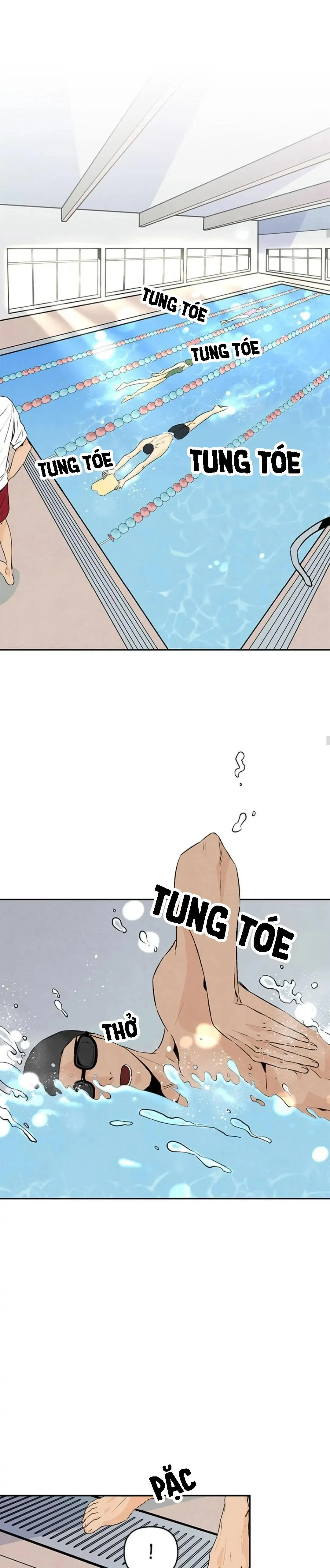 Bona Sort (END) Chapter 31 Trang 9