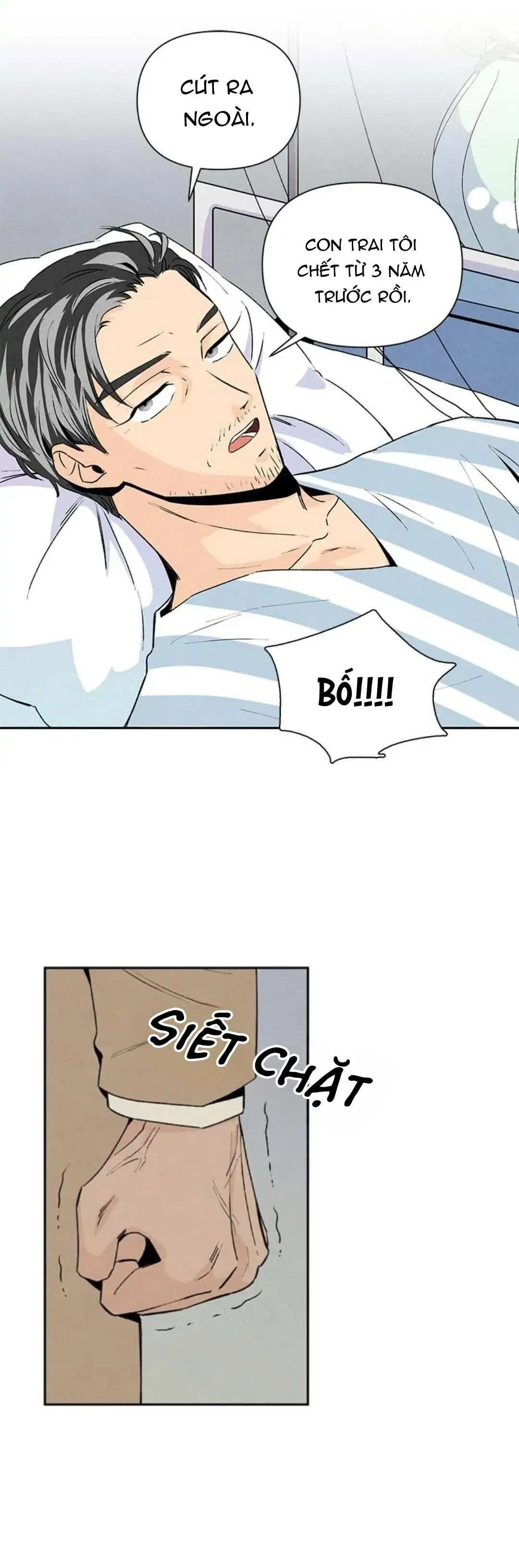 Bona Sort (END) Chapter 34 Trang 8