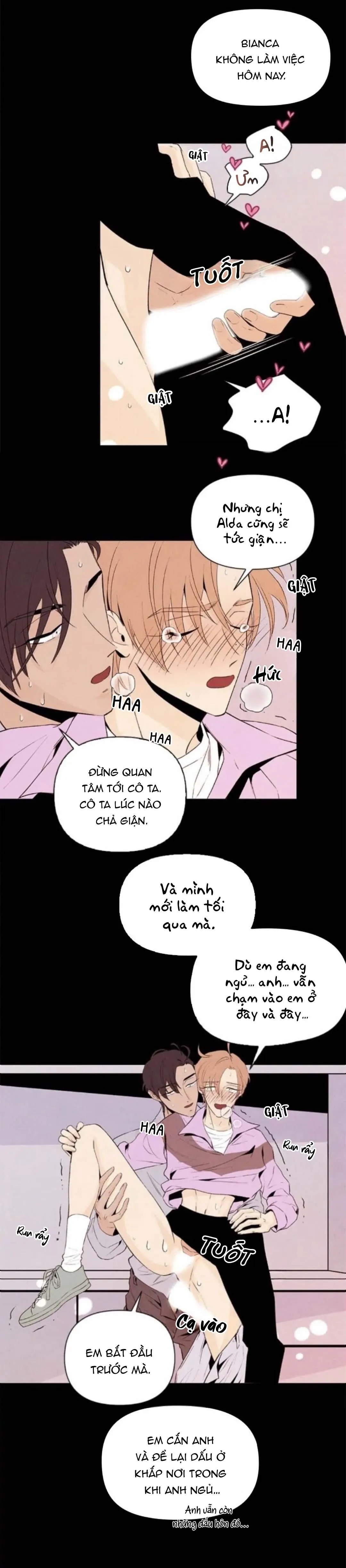 Bona Sort (END) Chapter 34 Trang 14