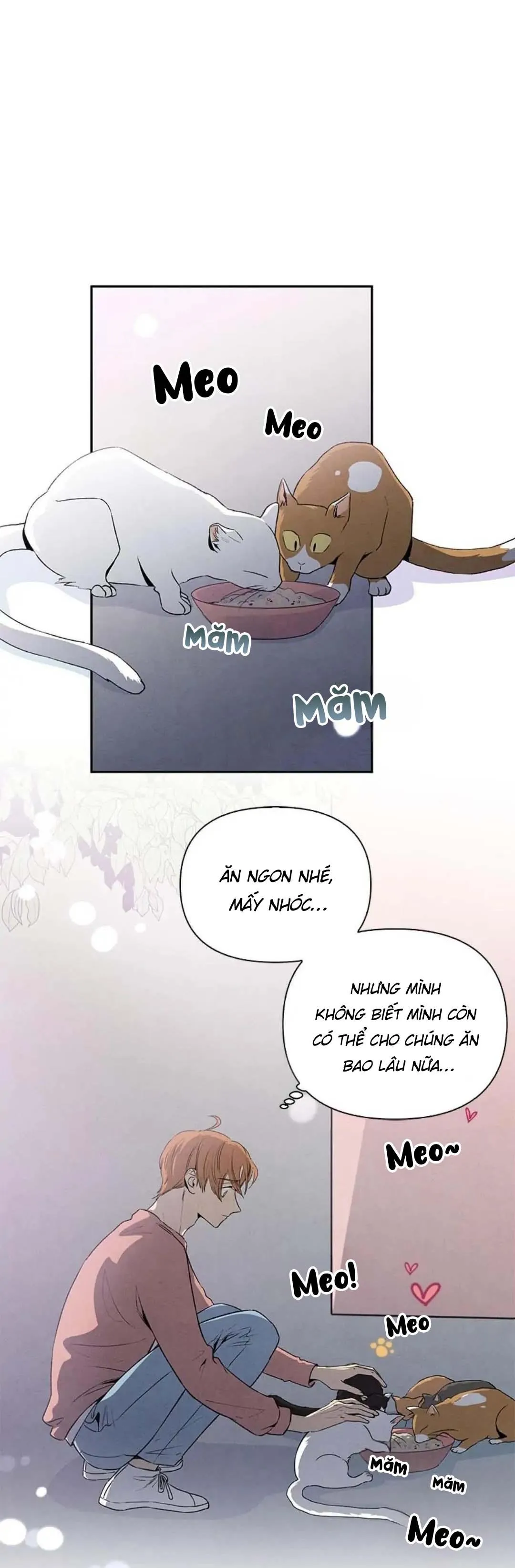Bona Sort (END) Chapter 34 Trang 22