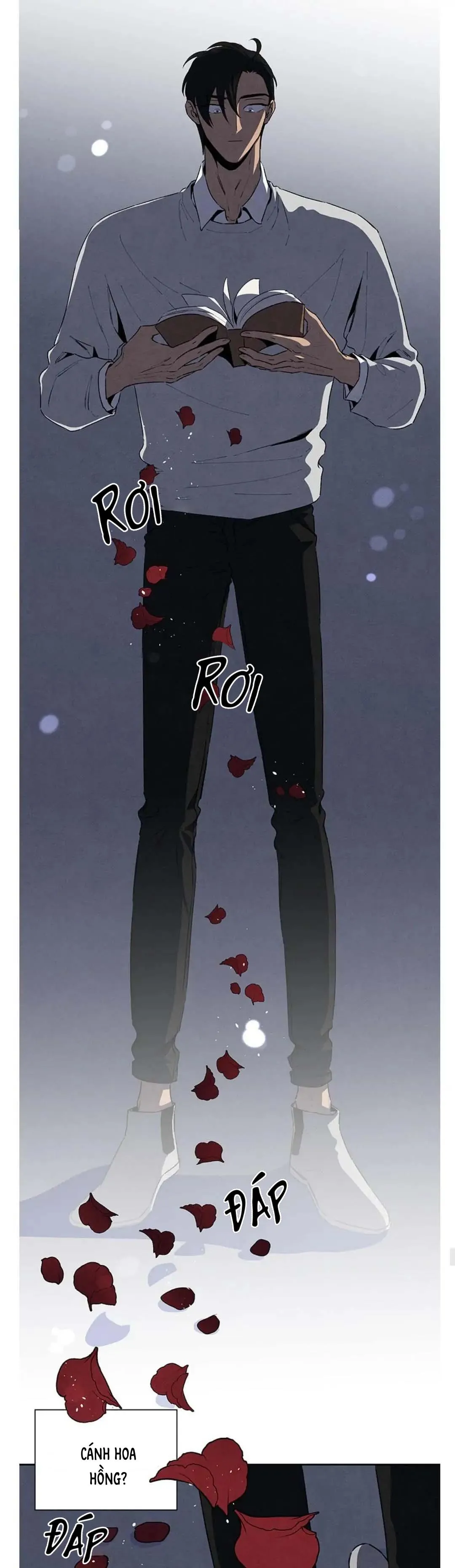 Bona Sort (END) Chapter 39 Trang 9