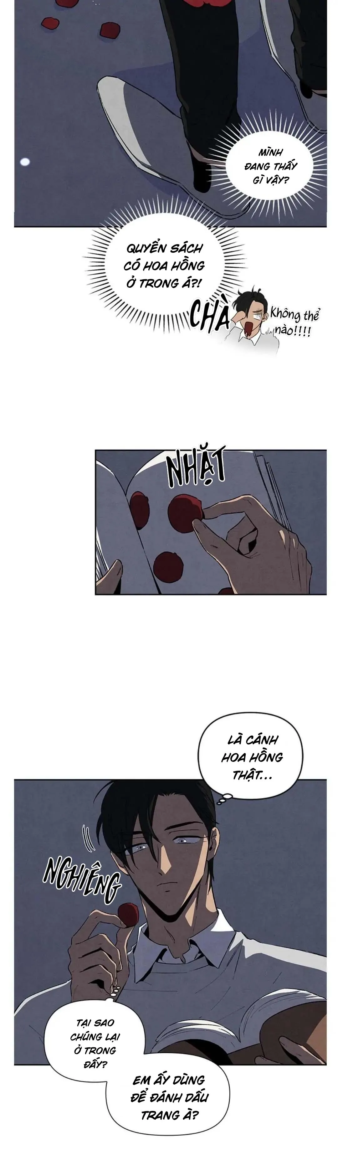 Bona Sort (END) Chapter 39 Trang 10