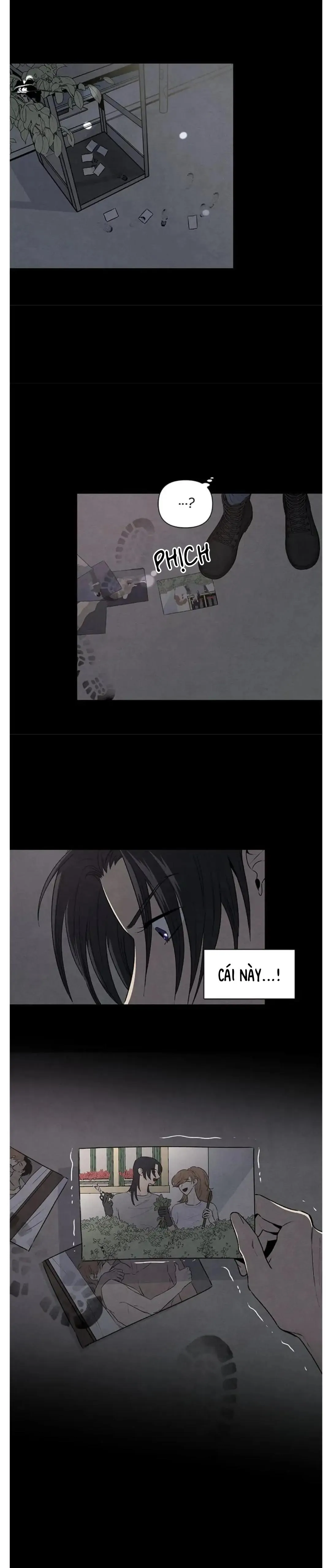 Bona Sort (END) Chapter 44 Trang 4