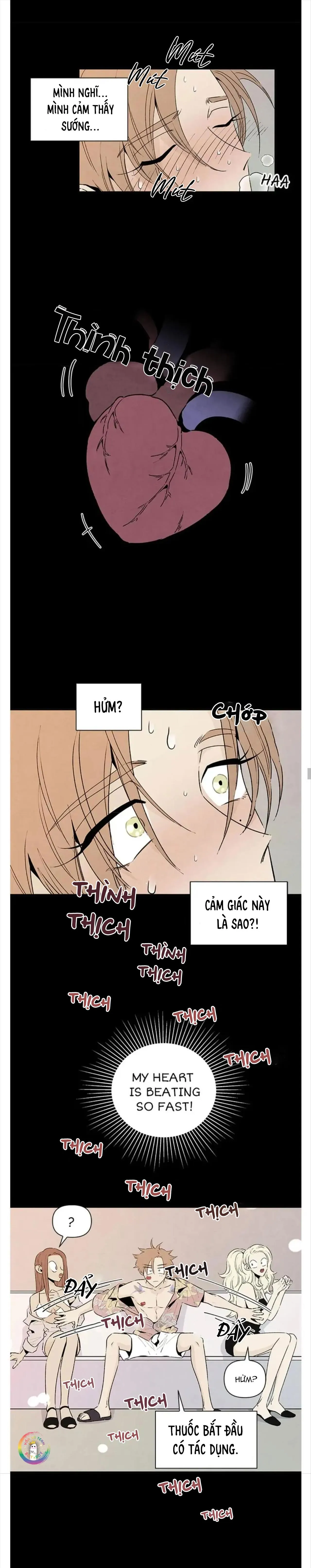 Bona Sort (END) Chapter 45 Trang 13