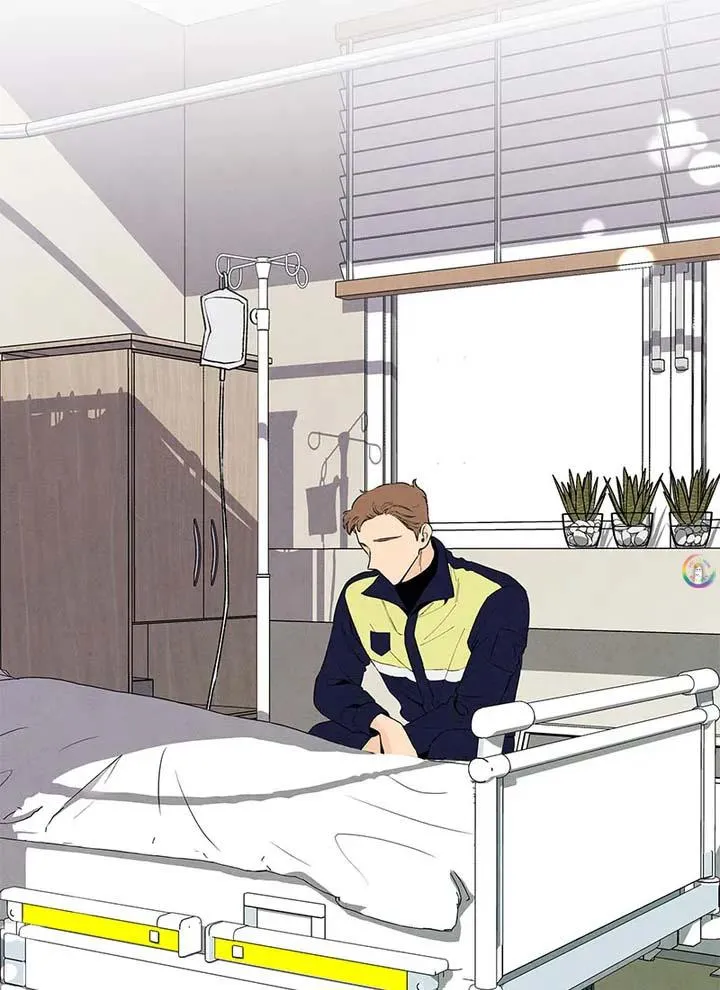 Bona Sort (END) Chapter 48 Trang 41