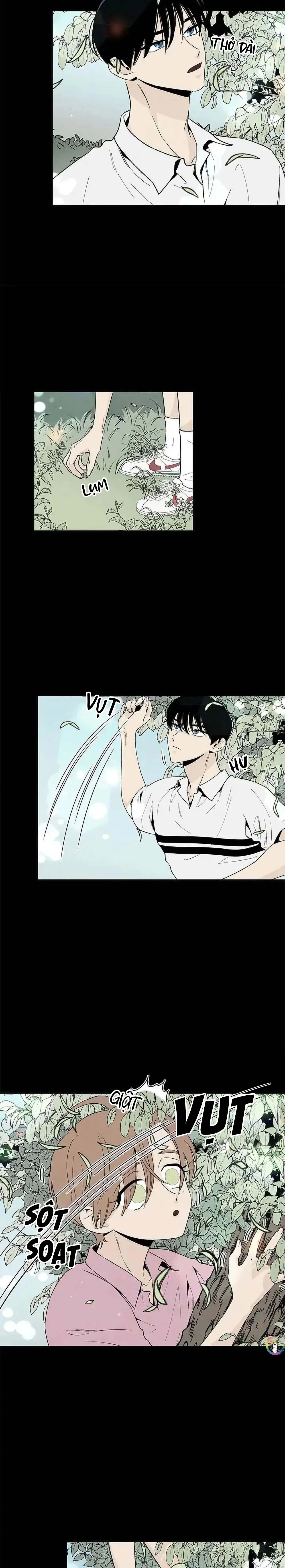 Bona Sort (END) Chapter 52 Trang 3