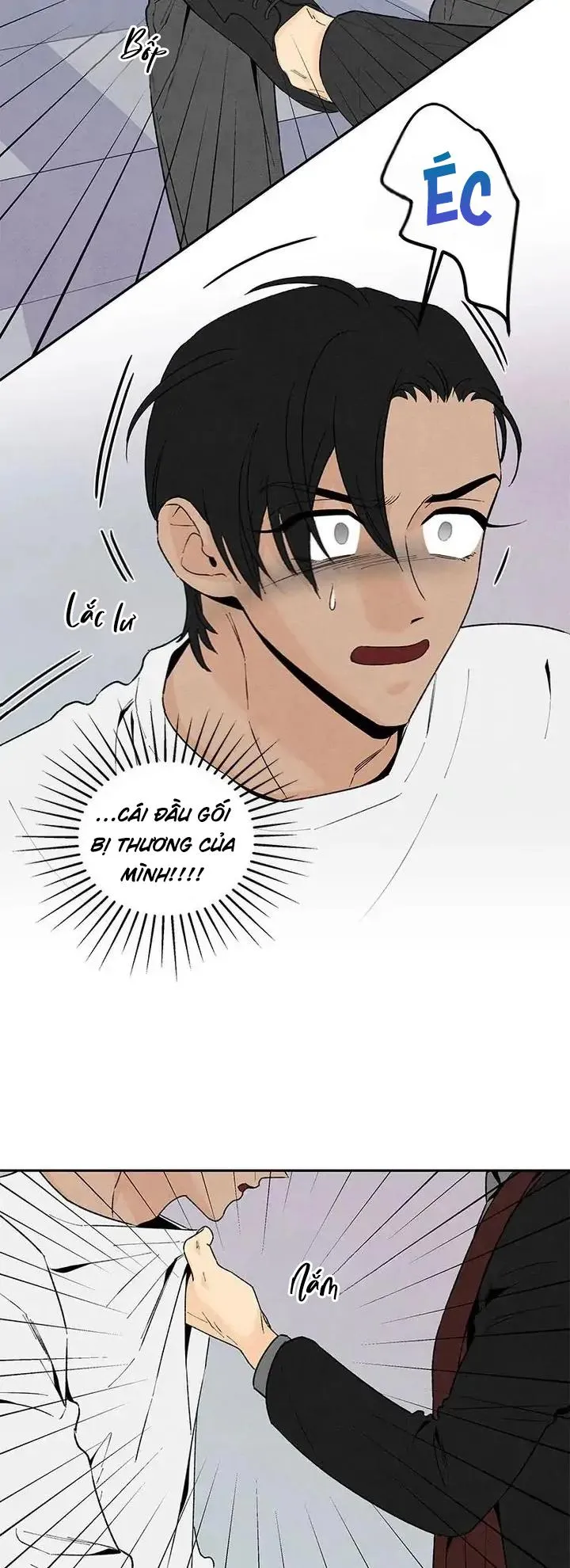 Bona Sort (END) Chapter 53 Trang 29