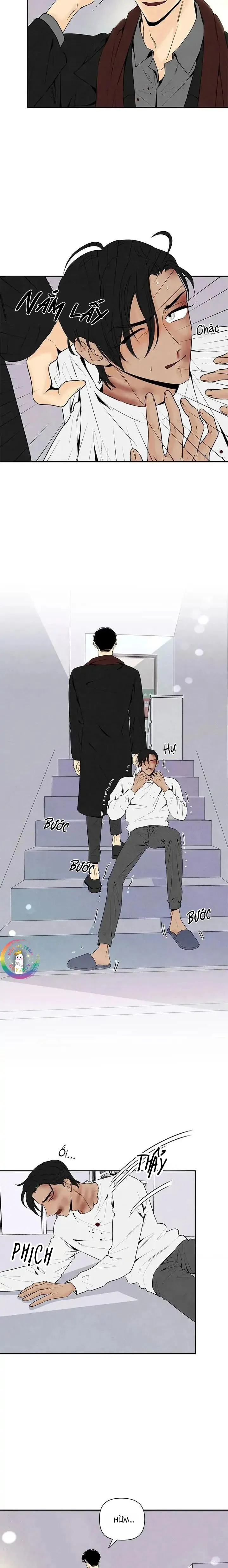 Bona Sort (END) Chapter 55 Trang 3