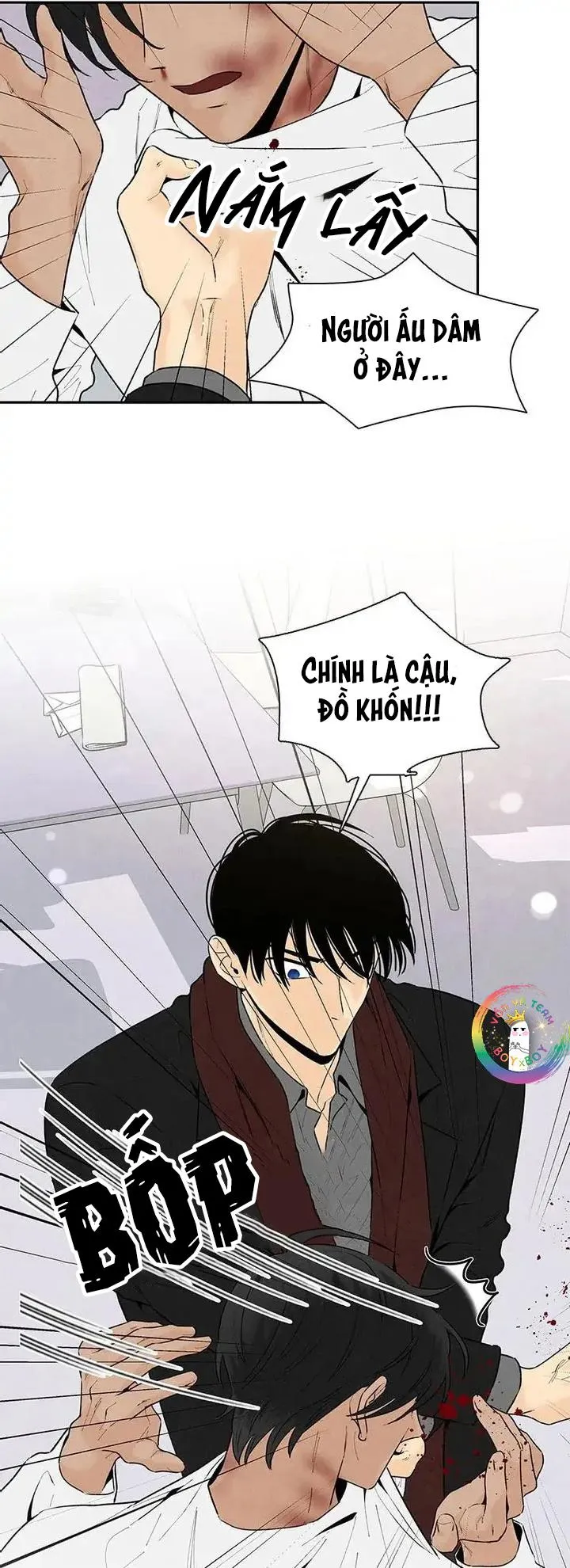 Bona Sort (END) Chapter 55 Trang 11