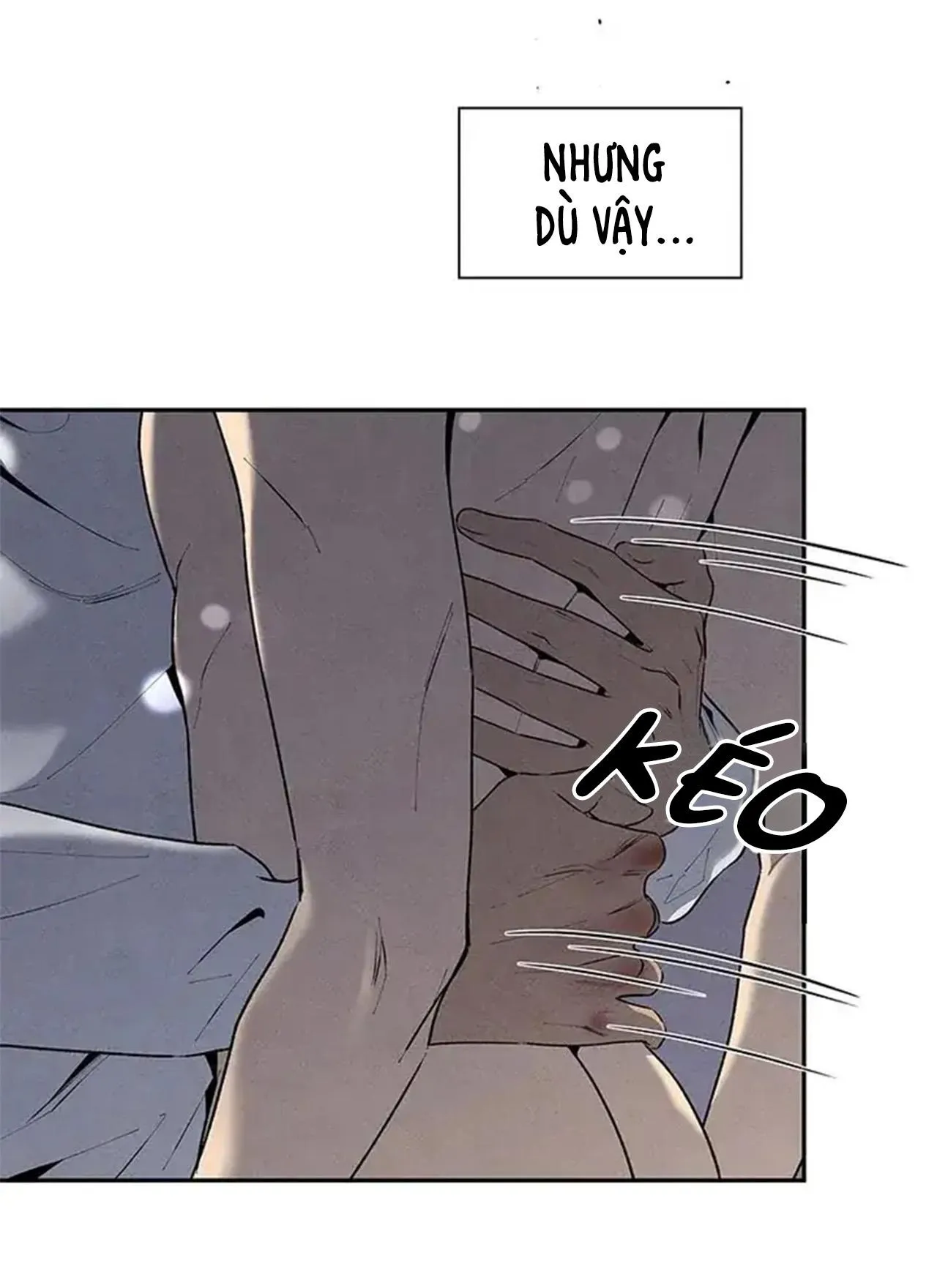 Bona Sort (END) Chapter 56 Trang 79