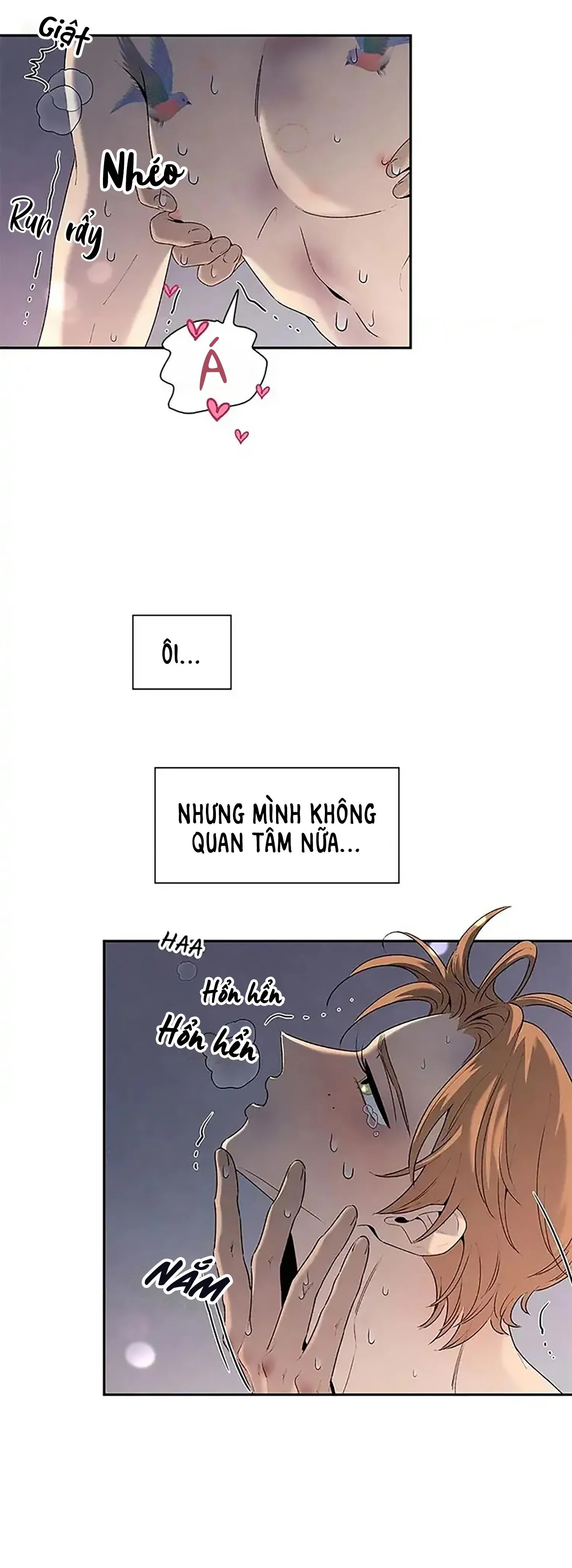 Bona Sort (END) Chapter 57 Trang 27