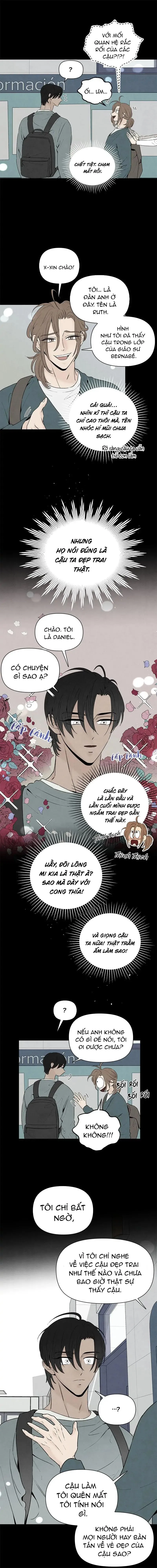 Bona Sort (END) Chapter 61 Trang 10