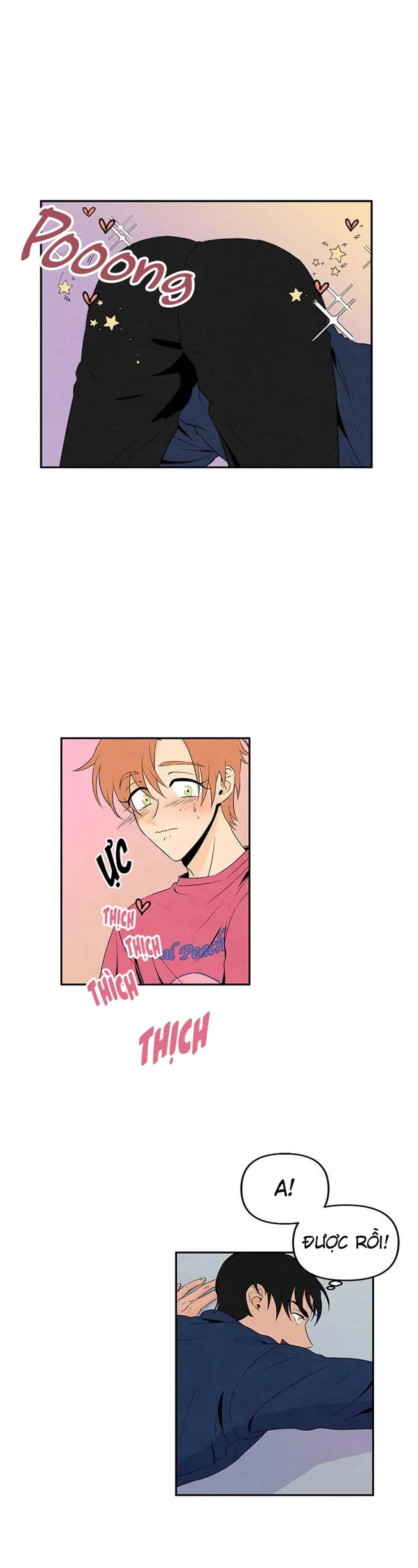 Bona Sort (END) Chapter 7 Trang 6