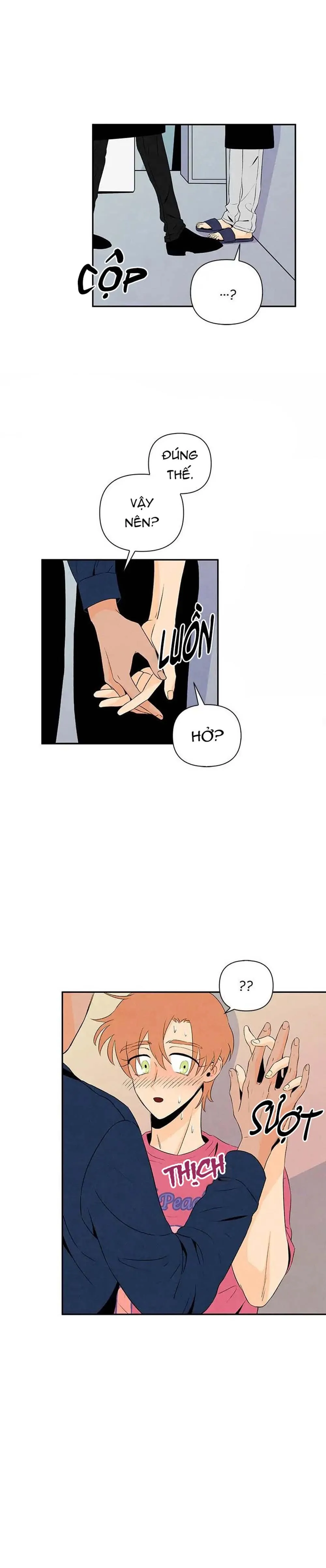 Bona Sort (END) Chapter 7 Trang 17