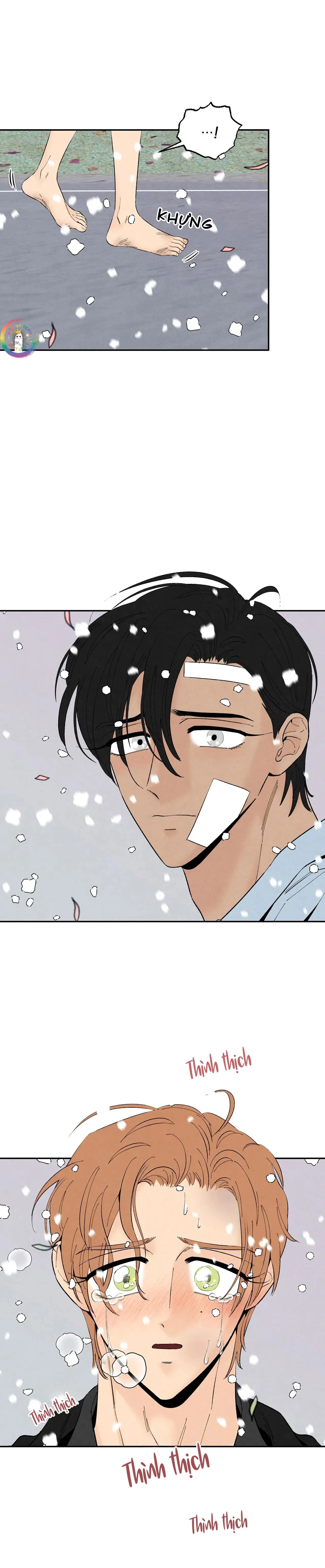 Bona Sort (END) Chapter 70 Trang 21