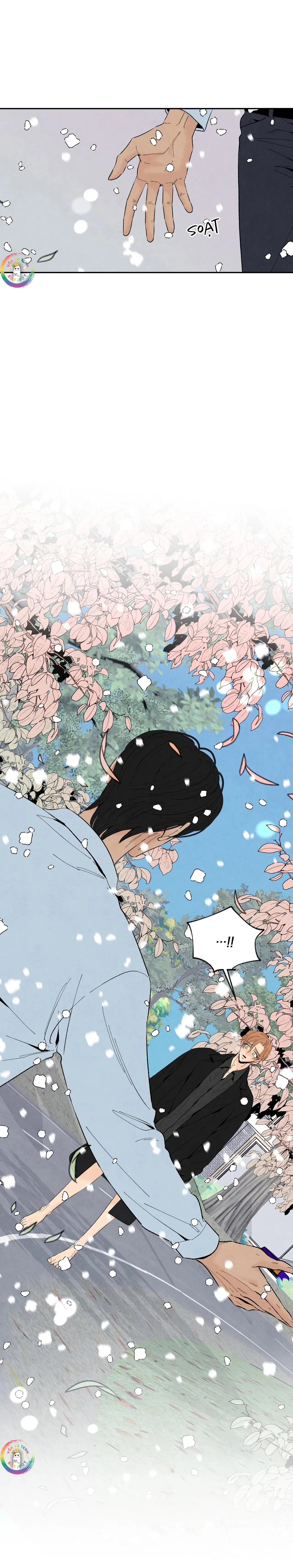 Bona Sort (END) Chapter 70 Trang 23