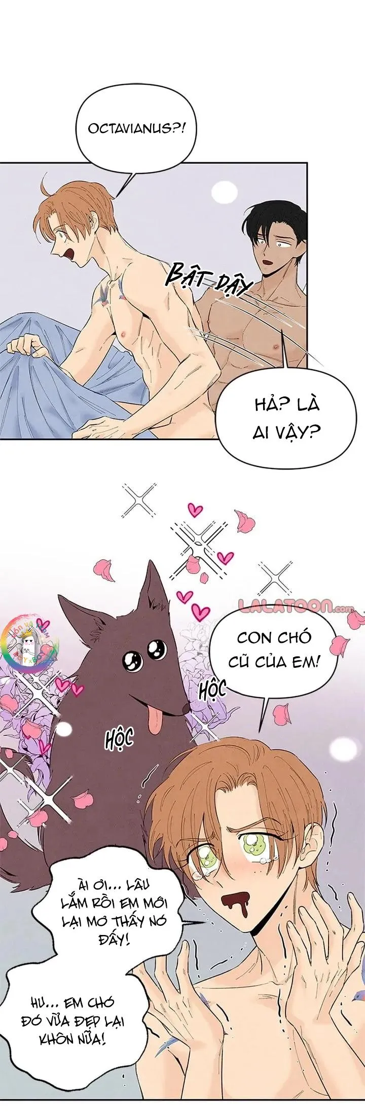 Bona Sort (END) Chapter 71 Trang 10