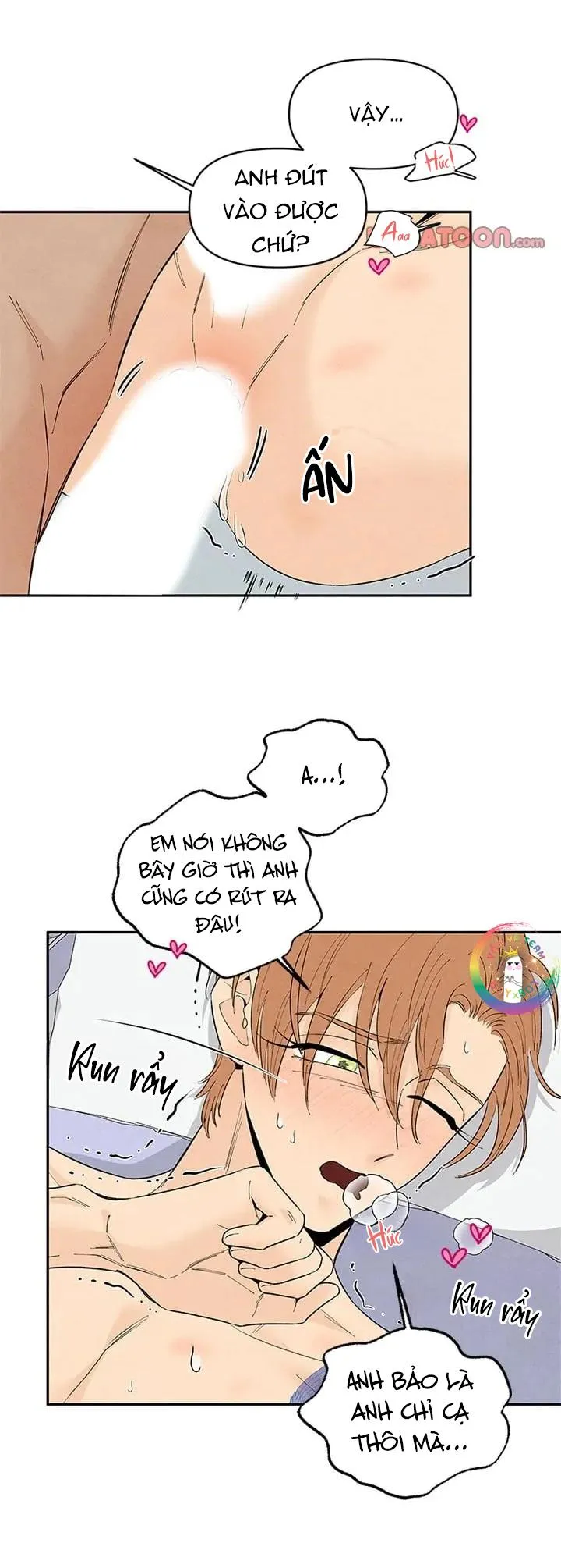 Bona Sort (END) Chapter 71 Trang 25